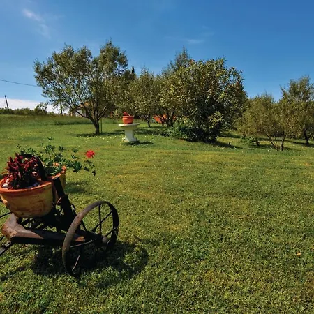 Cozy In With Kitchen
